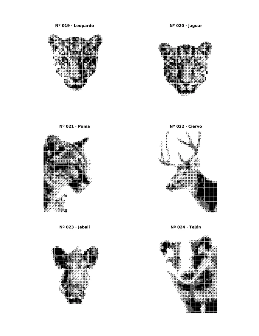 Página de soluciones con animales revelados en blanco y negro
